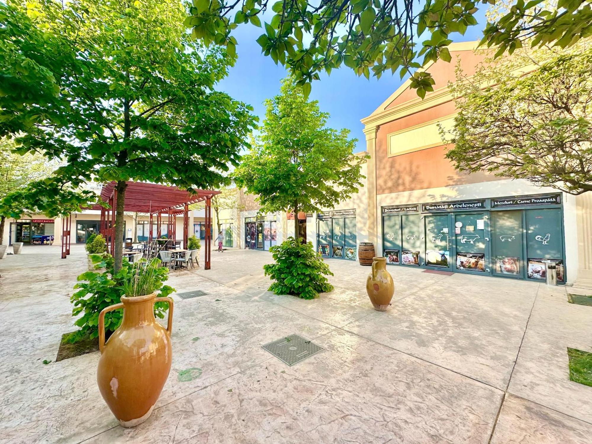 Double Studio A306 Stayinn By Cosmopolis Stefanestii de Jos Exterior photo